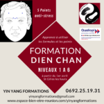 Dien Chan, Réflexologie Cybernétique