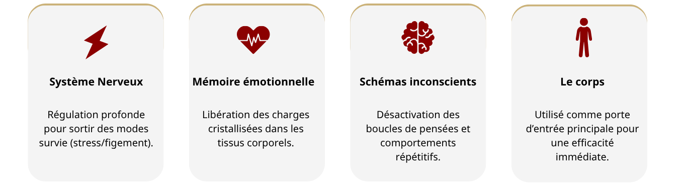 Reprogrammation intégrale