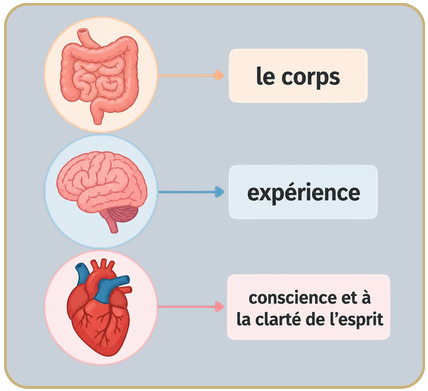 lien cerveau intestin
